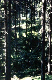 Sverige - Getådalen utanför Norrköping